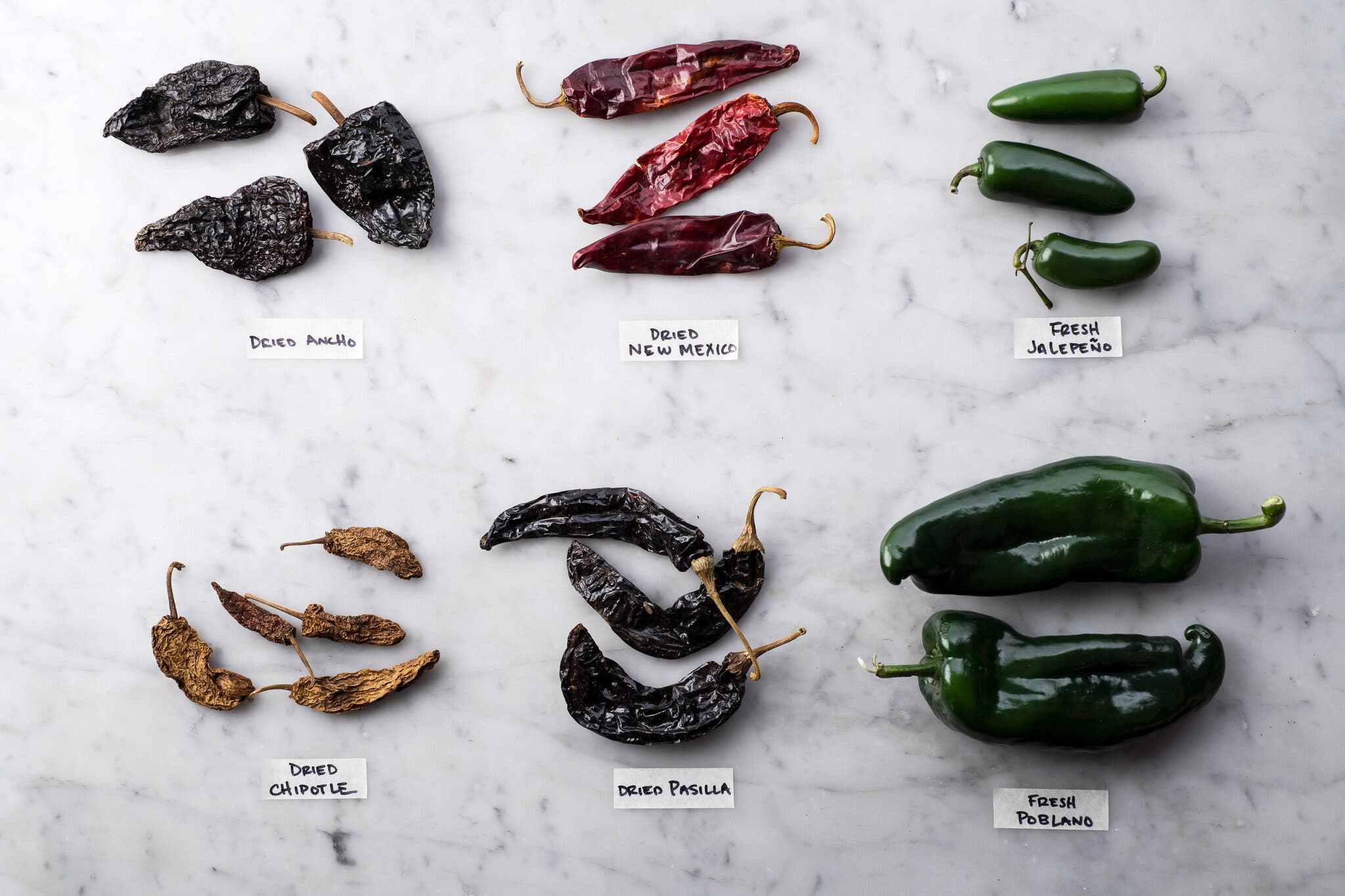 An overhead image of six types of chiles: Dried anchos are bigger and darker, dried New Mexico chiles are thinner and a deeper red, jalapeños are small, plump and green, dried chipotles are tan and papery, dried pasilla are nearly black and thin and fresh poblanos are large, plump and a deep green.