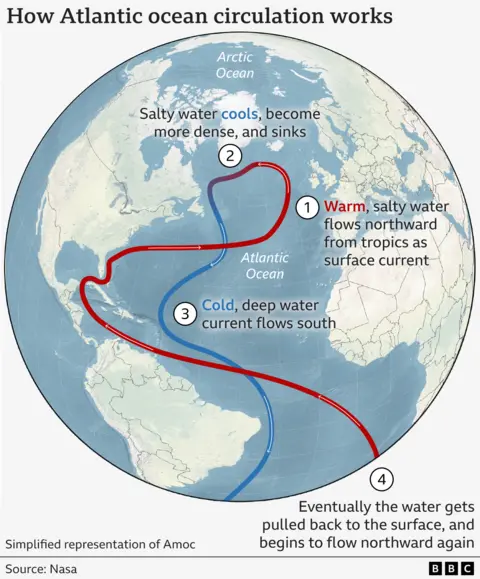 Annotated map of the North Atlantic showing a simplified representation of how Amoc works. Warm, salty water flows northwards from the tropics, via the Gulf of Mexico, as a surface current, shown in red. It cools and sinks just south of Iceland, and flows southwards as a deep current, shown in blue.