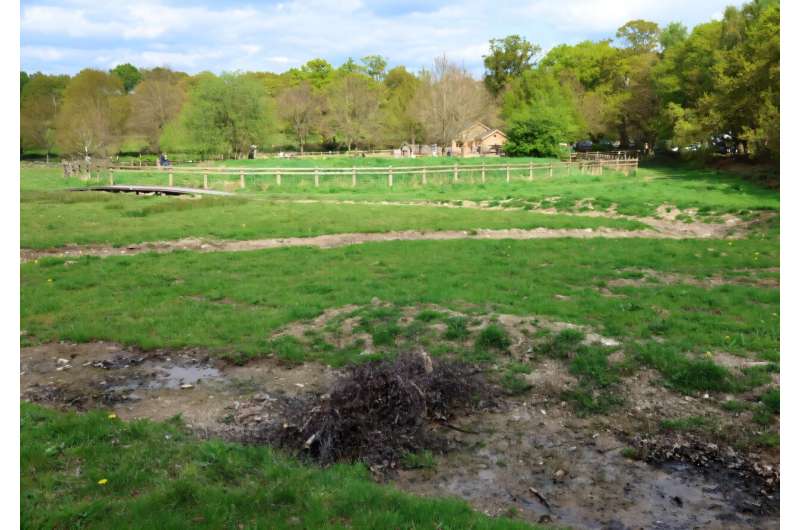 A brash bundle sits in a swale which forms part of a natural flood management scheme at Beacon Hill near Loughborough. A brash bundle sits in a swale which forms part of a natural flood management scheme at Beacon Hill near Loughborough