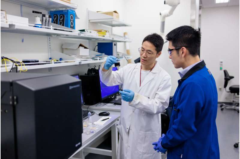Postdoctoral researcher and first author Qingsong Fan (left) and Assistant Professor of Molecular Engineering Po-Chun Hsu (right). The nanofluid improved stone ablation efficiency by 38–727% in spot treatment and 26–75% in scanning treatment. Immersing living cells in the nanofluid for various durations up to 24 hours demonstrated that the effective nanoparticle solution was also nontoxic and safe. Credit: UChicago Pritzker School of Molecular Engineering / John Zich New nanomaterial helps patients with kidney stones