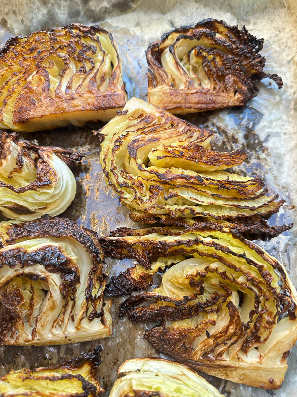 My Everyday Life Week 44 of 2025- Tracy Benjamin of Shutterbean.com