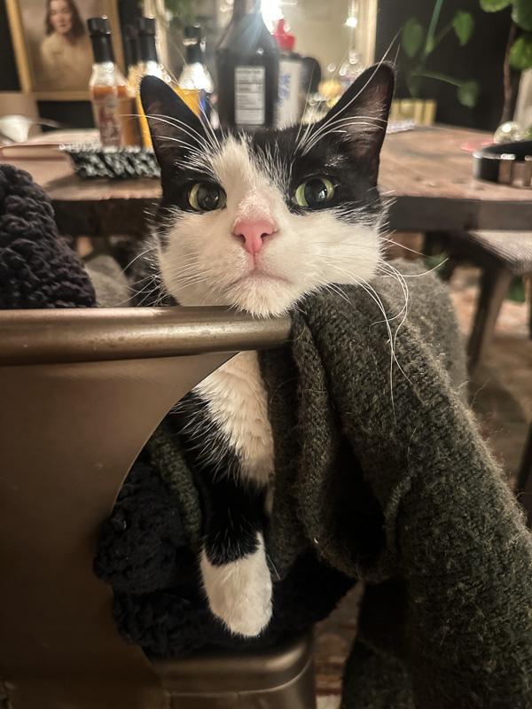 My Everyday Life Week 44 of 2025- Tracy Benjamin of Shutterbean.com