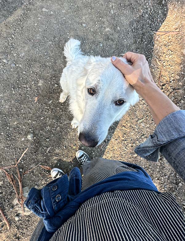 My Everyday Life Week 44 of 2025- Tracy Benjamin of Shutterbean.com