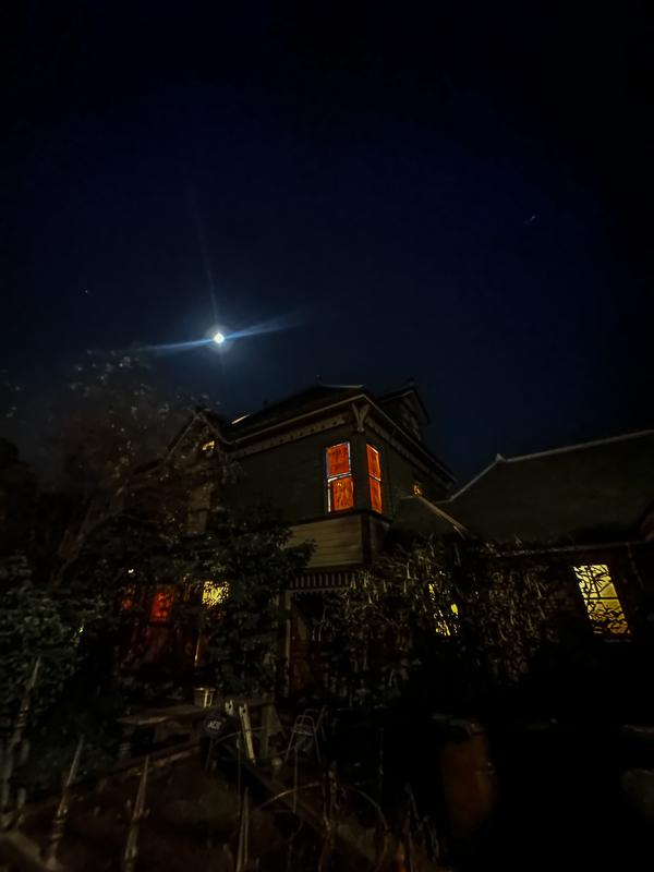 My Everyday Life Week 44 of 2025- Tracy Benjamin of Shutterbean.com