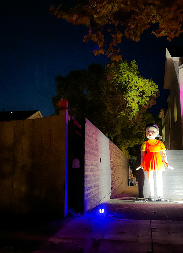 My Everyday Life Week 44 of 2025- Tracy Benjamin of Shutterbean.com