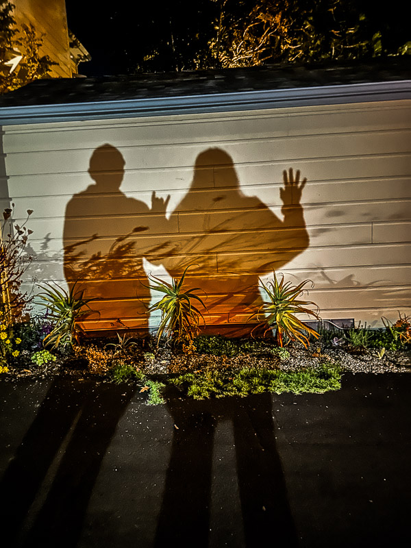 My Everyday Life Week 44 of 2025- Tracy Benjamin of Shutterbean.com