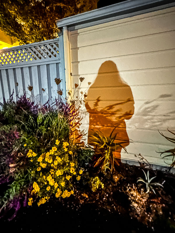 My Everyday Life Week 44 of 2025- Tracy Benjamin of Shutterbean.com