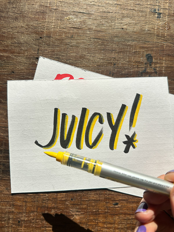 My Everyday Life Week 03 of 2026- Tracy Benjamin of Shutterbean.com