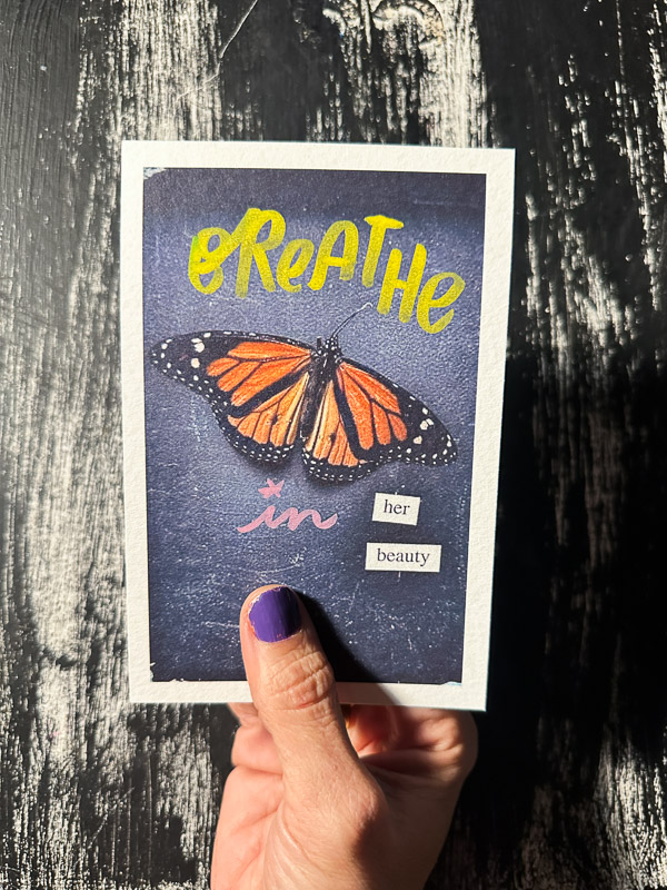 My Everyday Life Week 03 of 2026- Tracy Benjamin of Shutterbean.com