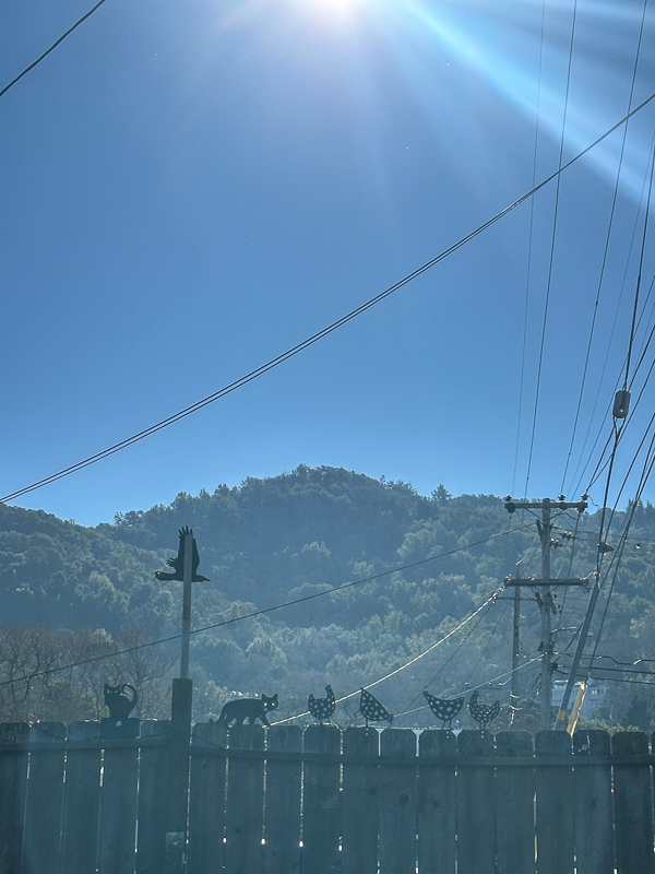 My Everyday Life Week 03 of 2026- Tracy Benjamin of Shutterbean.com